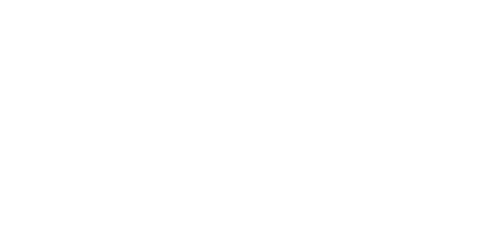 NÚCLEO DREO